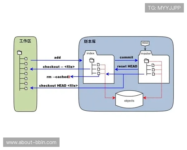 bbin大厅总站注册流程与新手入门指南