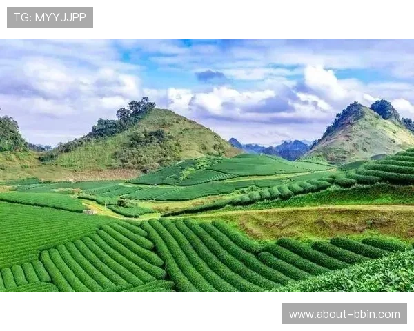 宝盈集团的资本运作策略及其对行业生态的影响分析